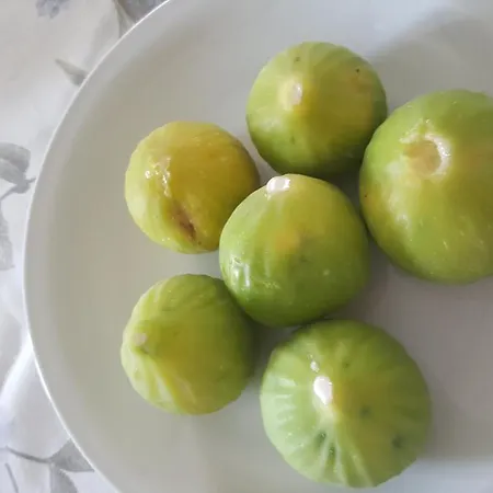 Κατάλυμα σε φάρμα Palazzo Piccolo